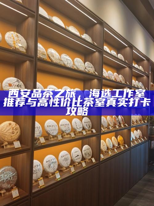 西安品茶之旅,海选工作室推荐与高性价比茶室真实打卡攻略
