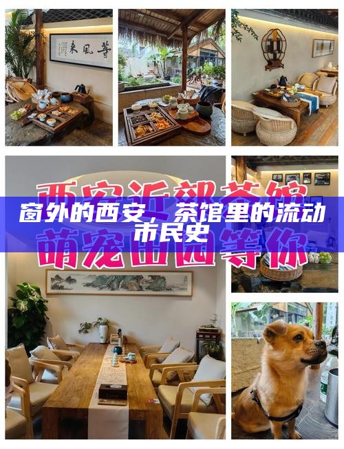 窗外的西安,茶馆里的流动市民史